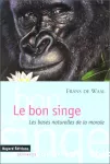 vignette